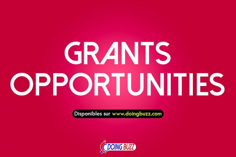 Appel ouvert pour soutenir les initiatives de plaidoyer et de campagne des ONG et des OSC (5 000 USD)